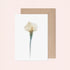 Floral Impressions Card Set II